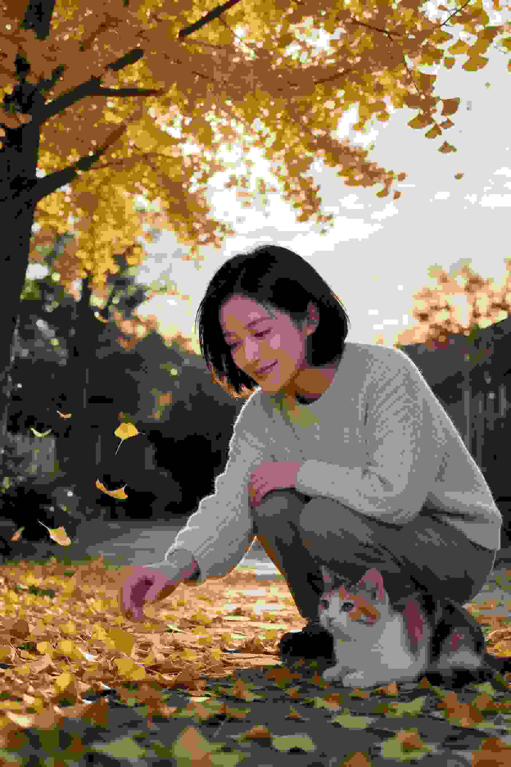 永不褪色的友谊